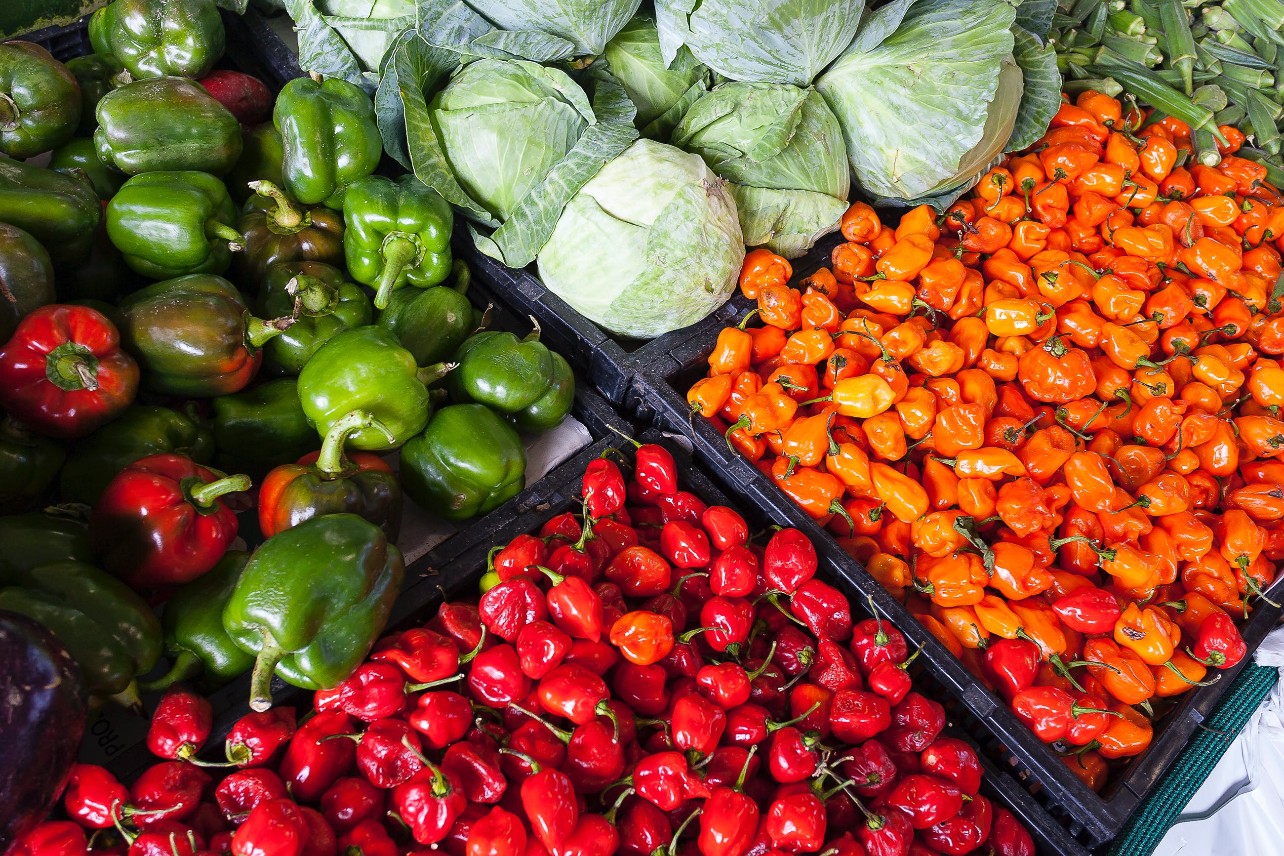 agroalimentare